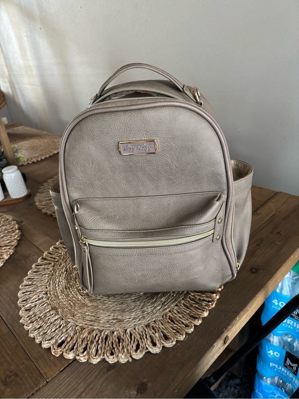 Itzy Ritzy Diaper Bag